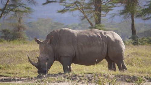 east africa group safari tour