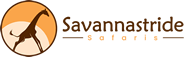 travel and tours
